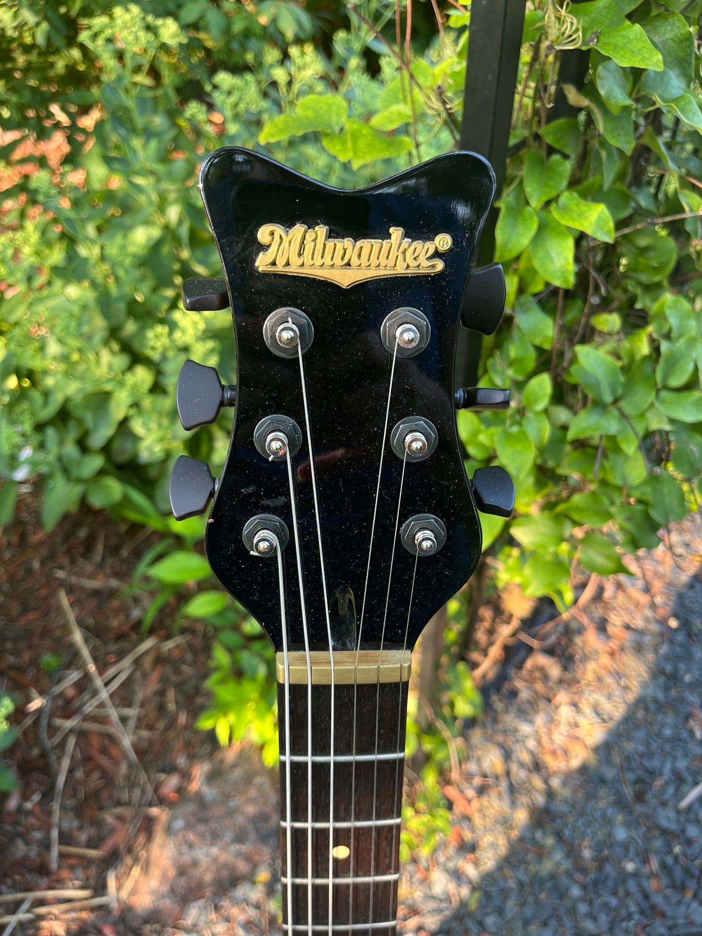 Hand painted Chief-317 guitar from the Milwaukee Guitar Company