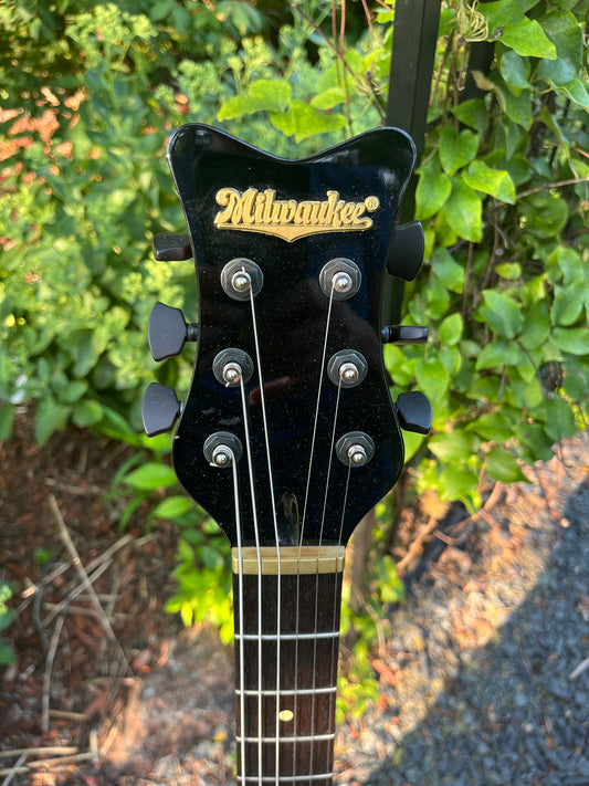 Hand painted Chief-317 guitar from the Milwaukee Guitar Company