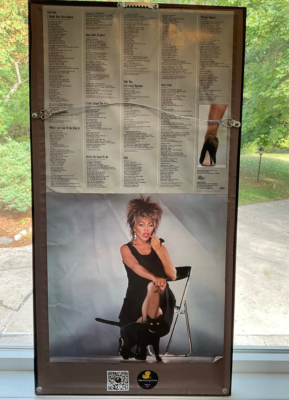 Tina Turner - Private Dancer mandala dot painted vinyl record album