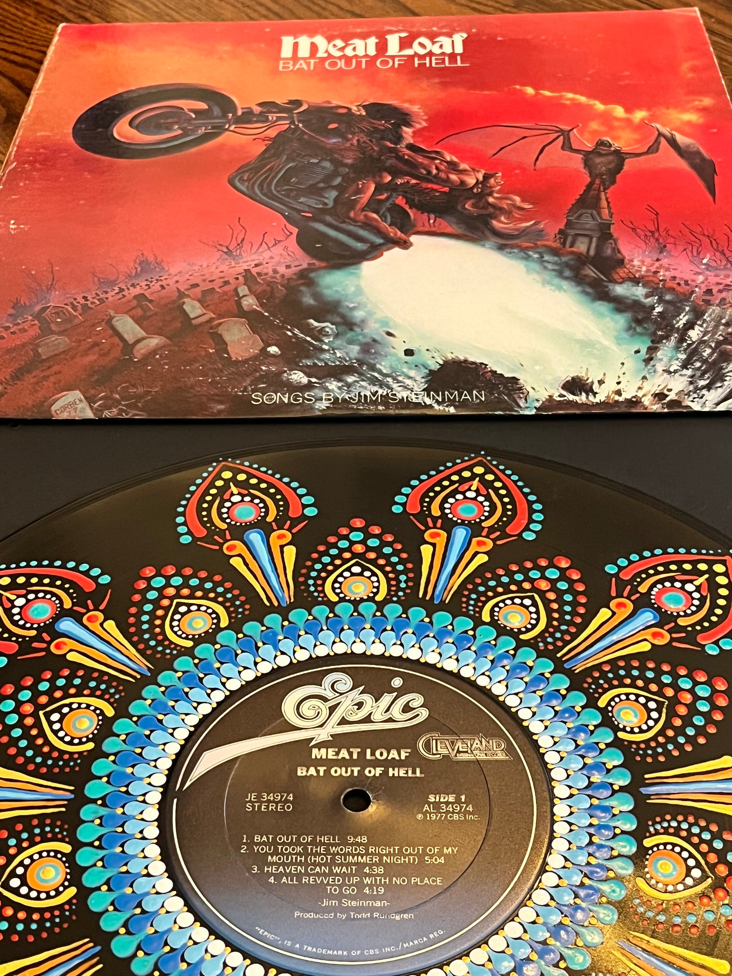 Meatloaf - Bat Out Of Hell mandala dot painted framed art